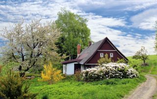 jardinerie Angers