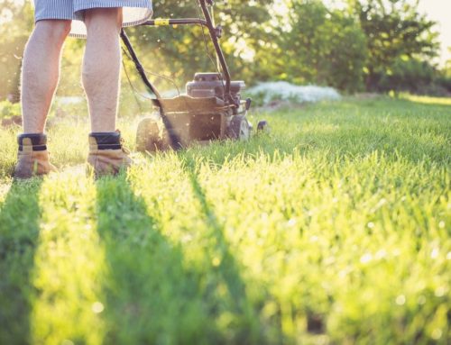 Les différents types de tondeuse pas chère en Côte d’Armor