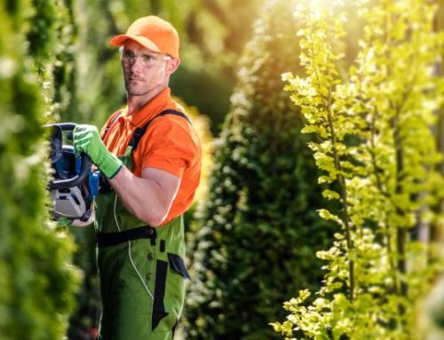 Travaux de jardinage en service à la personne Matignon : prix, prestations et déduction d’impôt