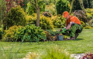 entretien extérieur et jardin à La Richardais