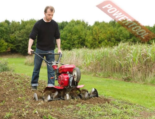 Maîtriser l’art de la Création de jardin à Angers : Conseils d’experts et tendances