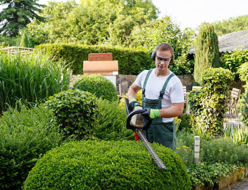 Pourquoi confier l’entretien de son extérieur à un jardinier à Arcachon ?