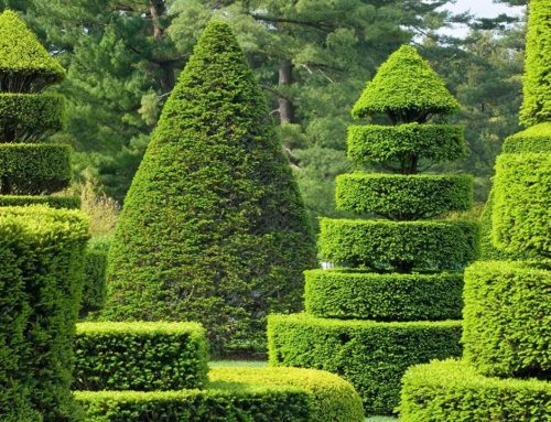 Service à la personne Noirmoutier-en-l’Île : Profitez d’un jardin élégant toute l’année sans soucis d’entretien