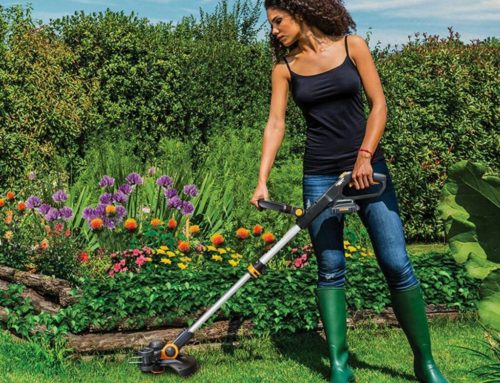 Paysagiste Damgan : Découvrez les Clés pour un Jardin Harmonieux et Économique