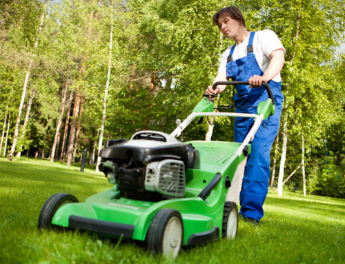 Zoom sur les avantages du service à la personne à Lamballe pour le jardinage