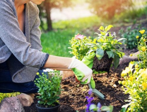 Quels sont les outils de motoculture essentiels pour un jardinage Le Mans réussi ?